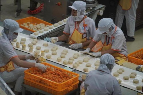 越南一現(xiàn)代化食品廠,還用人海戰(zhàn)術,不過做出的榴蓮餅真好吃