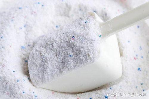 家里有螞蟻不用開水燙,教你4個妙招,螞蟻不敢來你家,安全管用