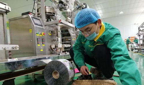 李三瓜子溫暖一方百姓 讓寒假學(xué)習(xí)無需原形就能找到工作崗位